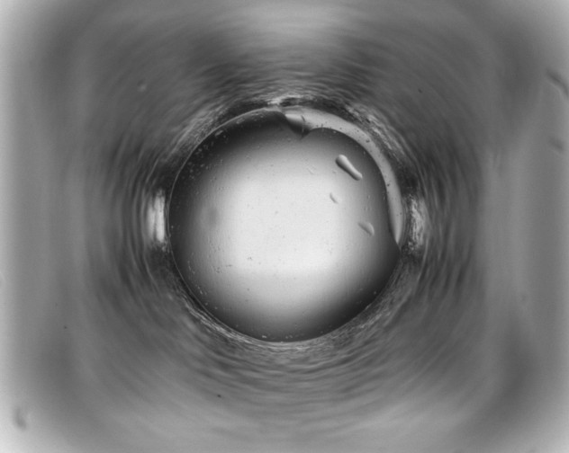 X0000099430046200805091259