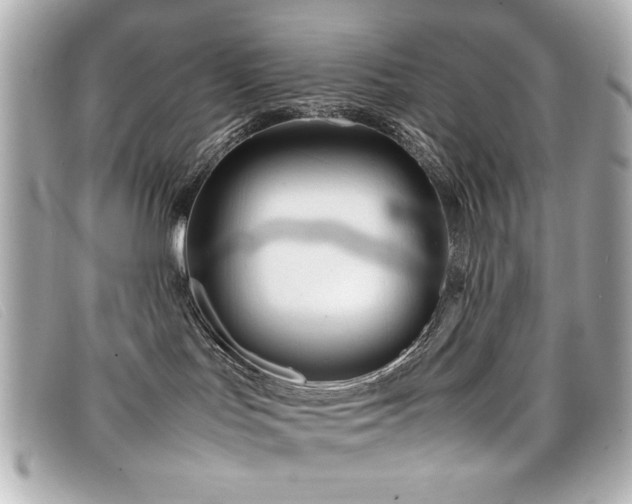 X0000099430047200805091259
