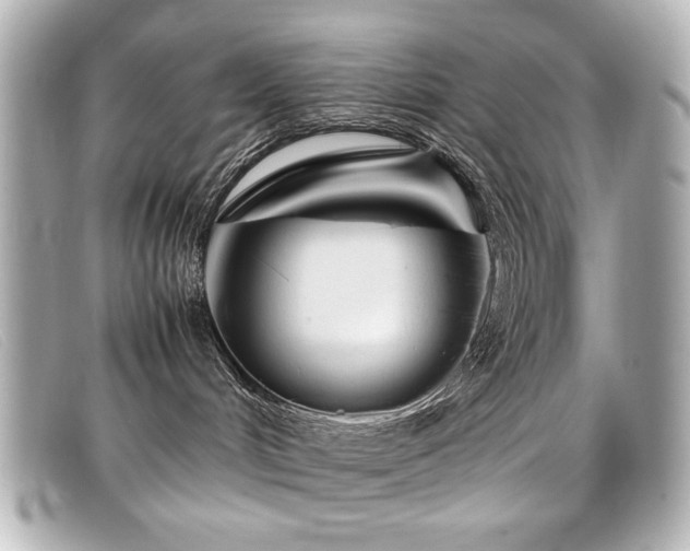 X0000099430048200805091259
