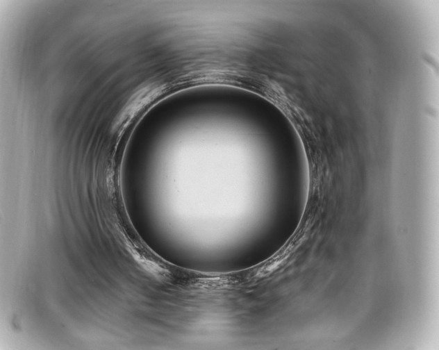 X0000099430050200805091259