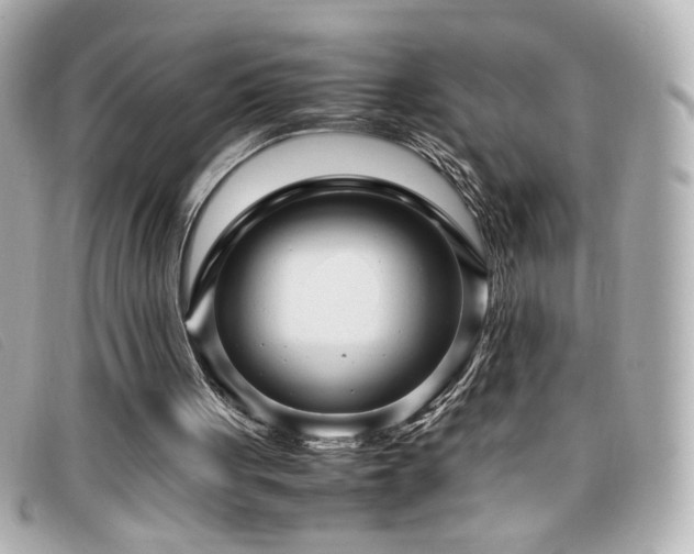 X0000099430051200805091259