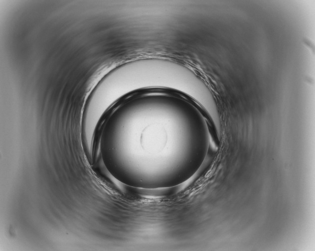 X0000099430052200805091259