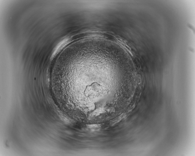 X0000099430053200805091259