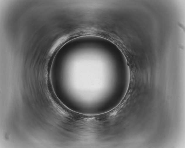 X0000099430054200805091259
