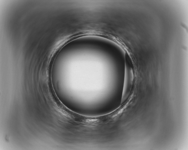 X0000099430055200805091259