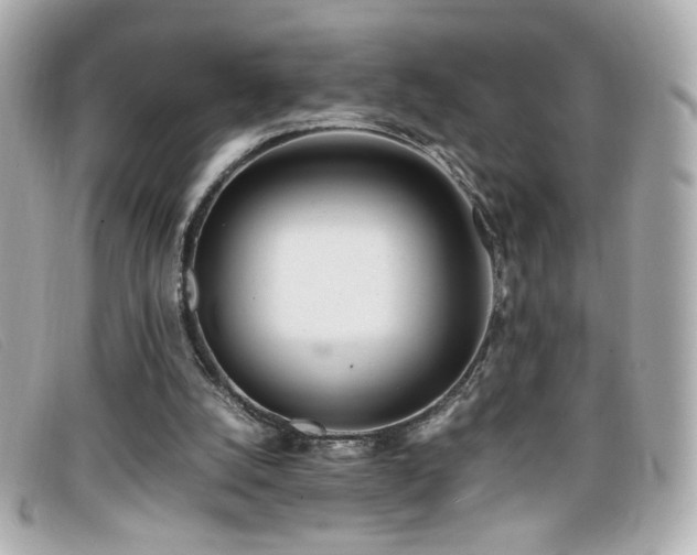 X0000099430056200805091259