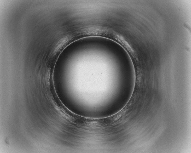 X0000099430058200805091259