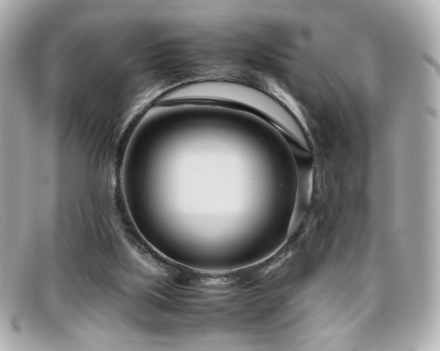 X0000099430059200805091259