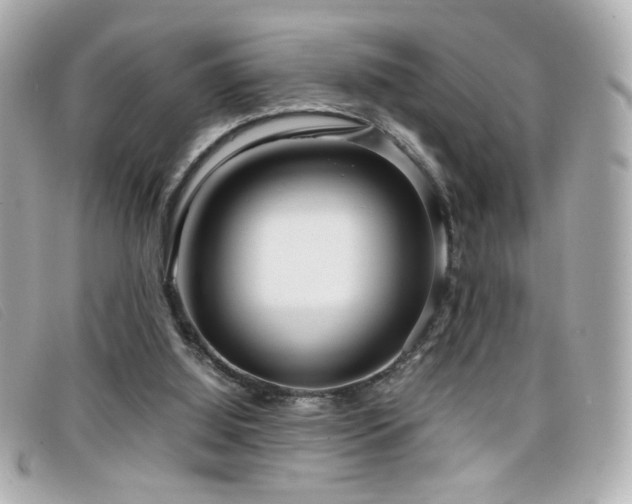 X0000099430060200805091259