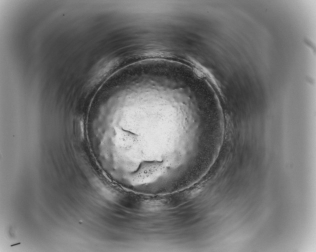 X0000099430061200805091259