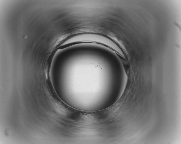 X0000099430062200805091259