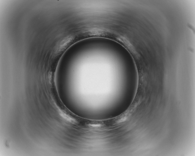 X0000099430066200805091259