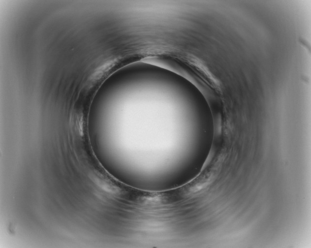 X0000099430068200805091259