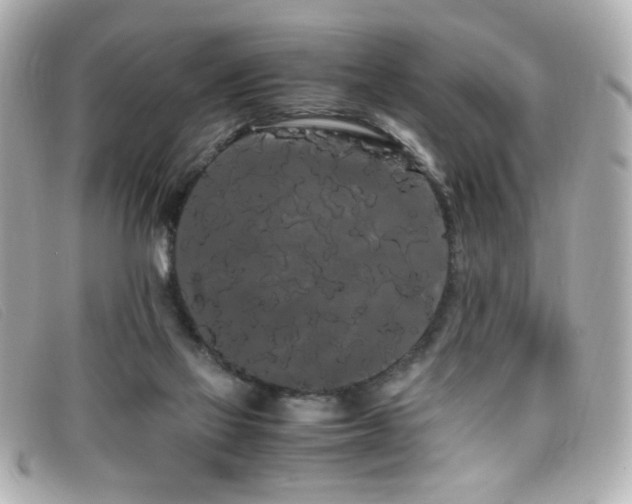 X0000099430069200805091259