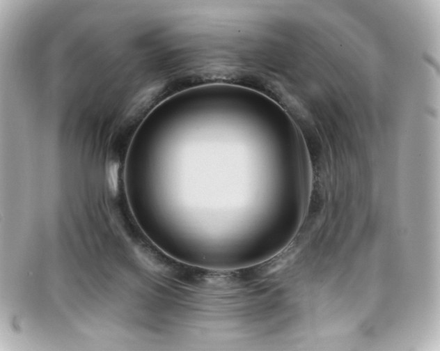 X0000099430070200805091259