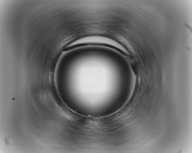 X0000099430071200805091259