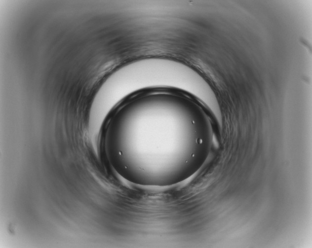 X0000099430072200805091259
