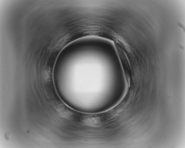 X0000099430073200805091259