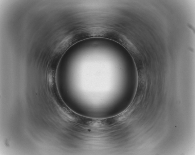 X0000099430074200805091259