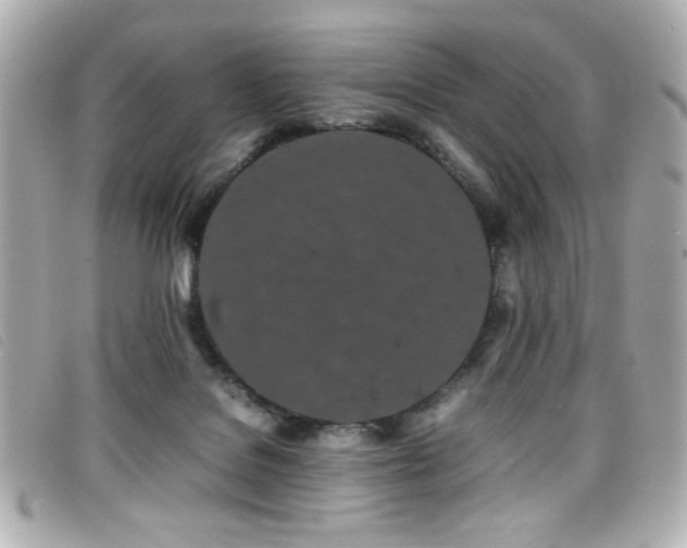 X0000099430076200805091259