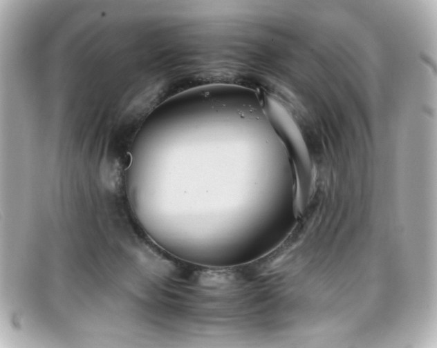 X0000099430077200805091259