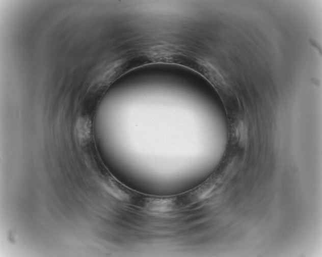 X0000099430081200805091259