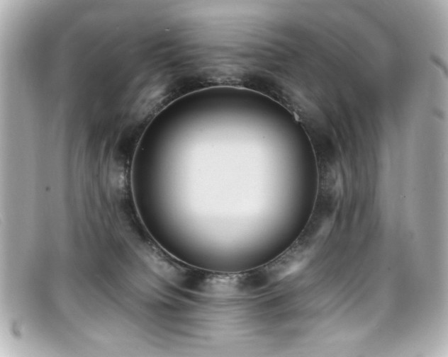 X0000099430084200805091259