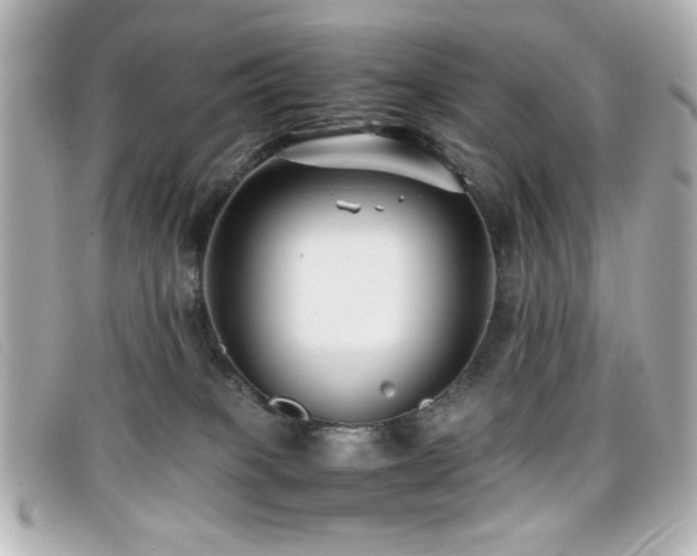 X0000099430085200805091259