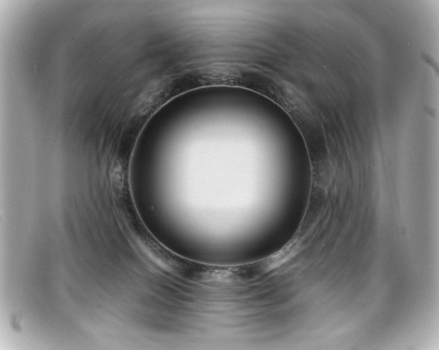 X0000099430086200805091259