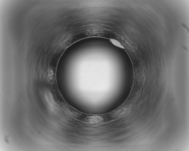 X0000099430087200805091259