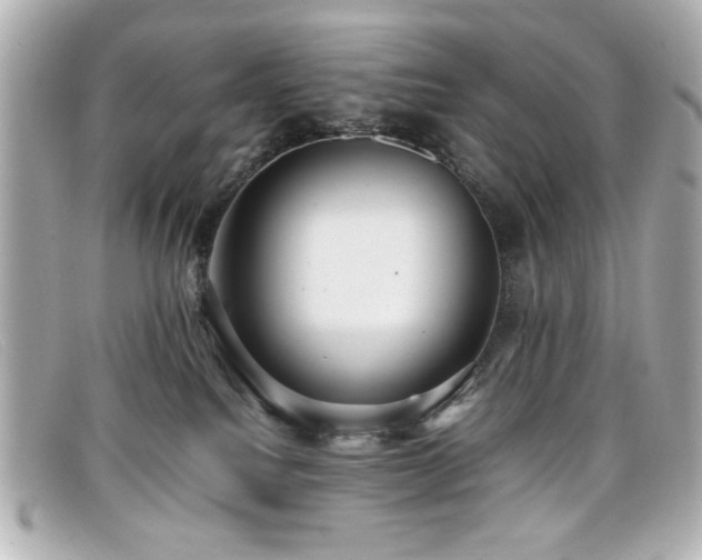 X0000099430088200805091259