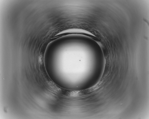 X0000099430090200805091259