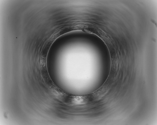 X0000099430091200805091259