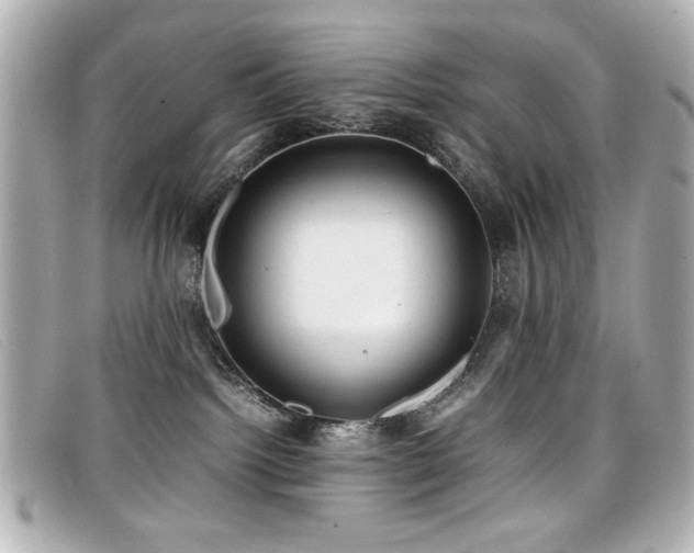 X0000099430092200805091259