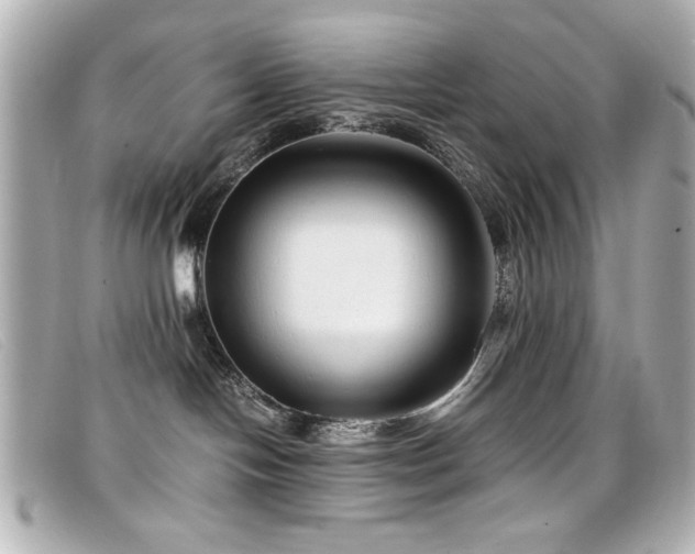 X0000099430094200805091259