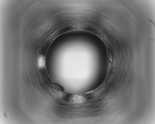 X0000099430095200805091259