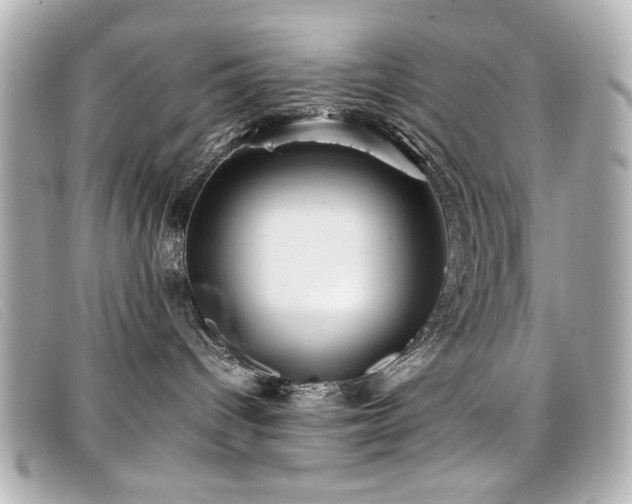 X0000099430096200805091259