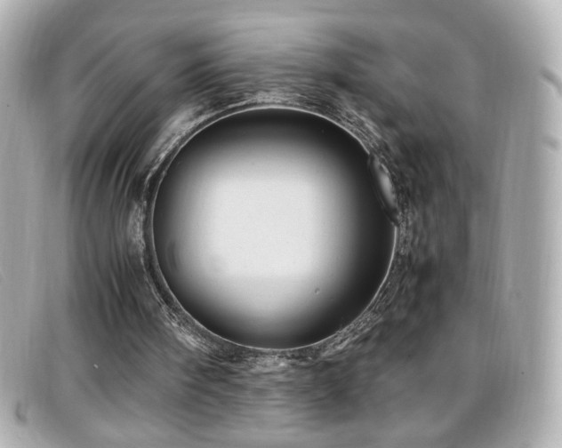 X0000099430098200805091259