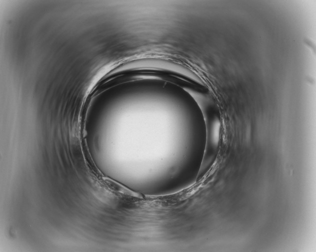 X0000099430100200805091259