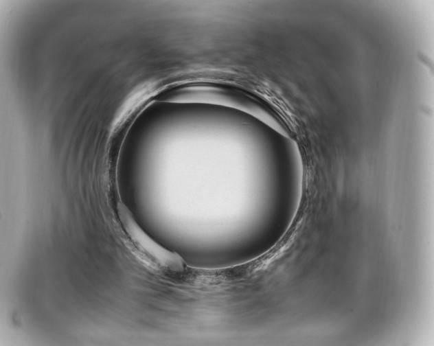 X0000099430101200805091259
