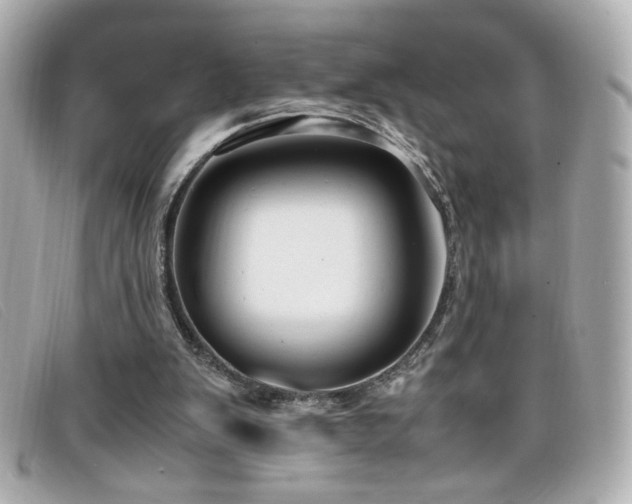 X0000099430103200805091259