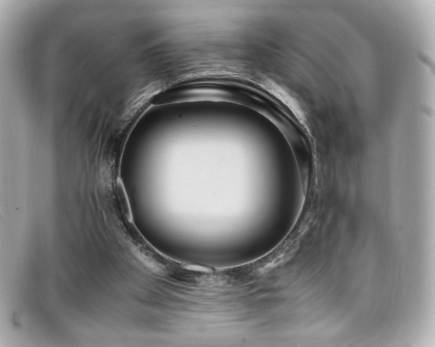 X0000099430105200805091259