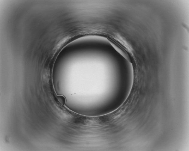 X0000099430107200805091259