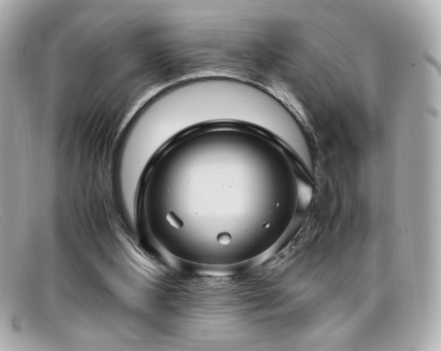 X0000099430108200805091259