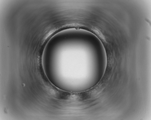X0000099430111200805091259