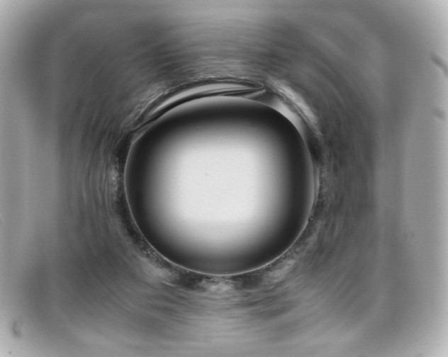 X0000099430113200805091259