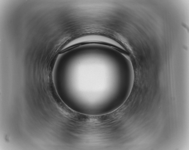 X0000099430114200805091259