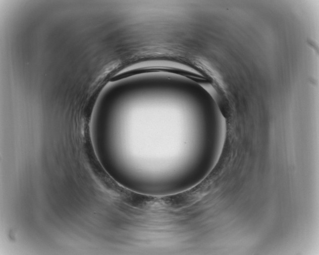 X0000099430115200805091258