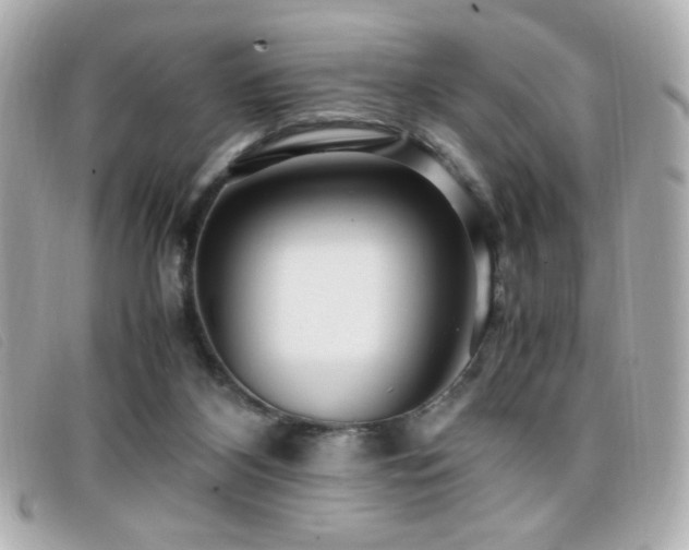 X0000099430116200805091258