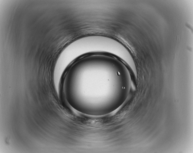 X0000099430117200805091258